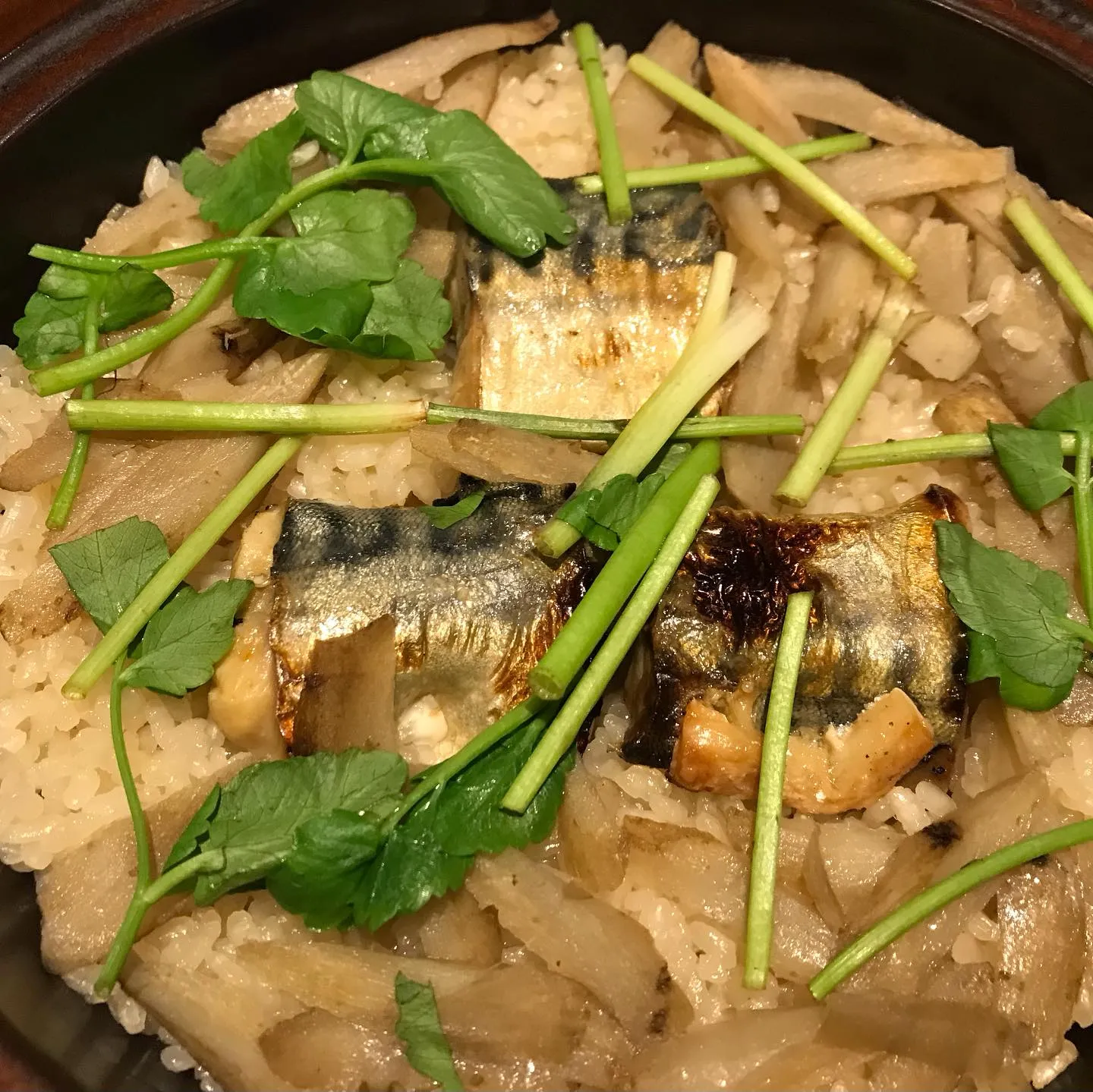 【お得なセット】